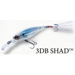 3 DB Shad