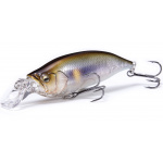 IxI Shad Type-R