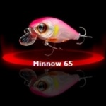 Minnow