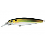 Bassday Range Minnow II R-38