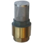 Brass Intake Strainer w/Check Valve