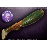 Crazy Fish Dainty 14 UV Motor Oil