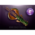 Crazy Fish Nimble 14 UV Motor Oil