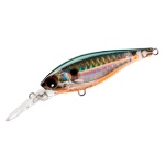 Duel 3DB Shad PTSH