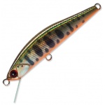 DUO Grace Minnow Elena N568