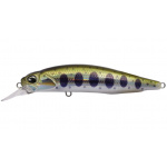 DUO Realis Rozante ANA4034