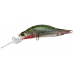 DUO Realis Rozante Shad CCC3262