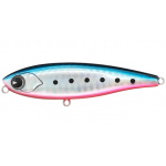 ima Chappy Japanese Sardine