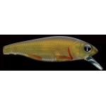 Izumi Minnow 8