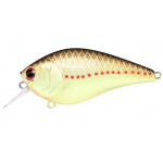 Lucky Craft LC 2.5 Copper Perch