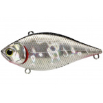 Lucky Craft LVR D-7 BP Golden Shiner
