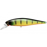 Lucky Craft Pointer 100 SP Gold Skin Perch