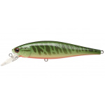 Lucky Craft Pointer 100 SP Musky