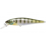 Lucky Craft Pointer 100 SP Natural Bream