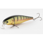 Lucky Craft Pointer 100 SR Aurora Gold Northern Perch