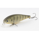Lucky Craft Pointer 100 SR NC Female Bluegill