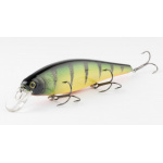 Lucky Craft Pointer 128 SP Gold Skin Perch
