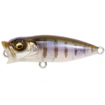 Megabass Baby Pop-X Gillkko