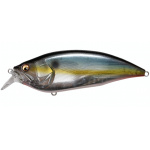 Megabass Big-M 2.0 Jukucho Shad