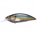 Megabass Big-M 4.0 Jukucho Shad