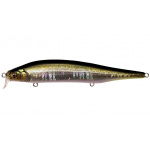 Megabass Ito Shiner SSR GG Tennessee Shad