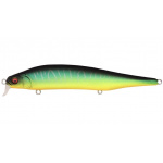 Megabass Ito Shiner SSR Mat Tiger