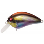 Megabass IxI Blowly Ito Cichlid