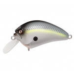 Megabass IxI Blowly PM Sexy Shad