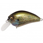 Megabass IxI Blowly Pumpkin Seed