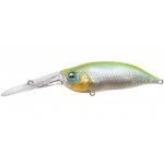 Megabass IxI Shad TX IK Skeleton Strong Chart