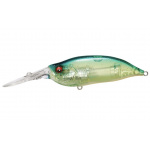 Megabass Ixi Shad Type 3 Skeleton Blue Back Chart