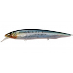 Megabass Kanata FA Iwashi