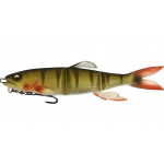 Megabass Magdraft Hasu Raver Perch