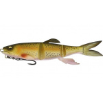 Megabass Magdraft Hasu Raver Rainbow Trout