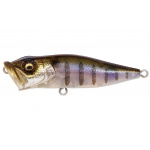 Megabass Pop-X Gillkko