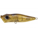 Megabass Pop-X Tenaga