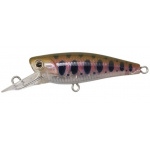 Palms Thumb Shad C-53