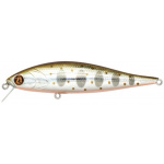 Pontoon-21 Bet A Minnow 050