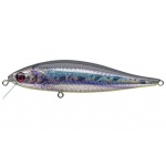 Pontoon-21 Bet A Minnow R55