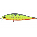 Pontoon-21 Bet A Minnow R77
