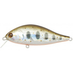 Pontoon-21 Bet A Shad 050