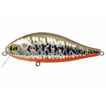 Pontoon-21 Bet A Shad R53