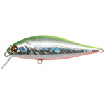 Pontoon-21 Bet A Shiner A62