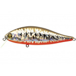 Pontoon-21 Bet A Shiner R53