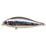 Pontoon-21 Bet A Shiner R55