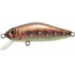 Pontoon-21 Crack Jack 729