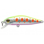 Pontoon-21 Crack Jack A65