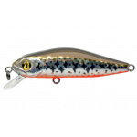 Pontoon-21 Crack Jack R53
