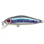 Pontoon-21 Crack Jack R55