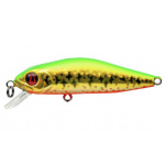 Pontoon-21 Crack Jack R65